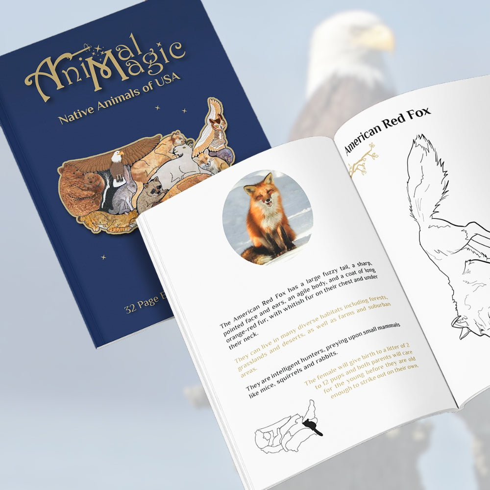 Activity Books